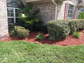 Lawn Care Jacksonville FL by JMK Lawn Care featuring professional mowing, edging, and landscape maintenance for a beautiful residential yard.